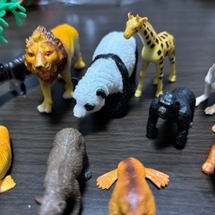 動物セットの画像