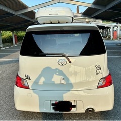 平成19年登録の画像
