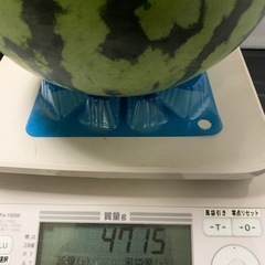 スイカ4.７キロの画像