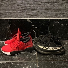 adidas スニーカー セットの画像
