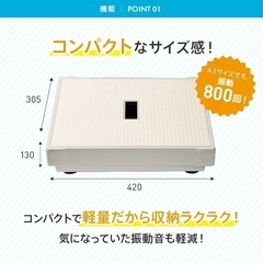 ダブルワンダーウェーブライトの画像