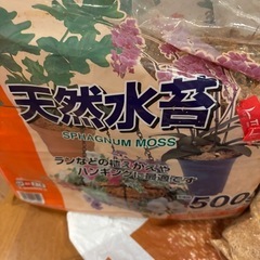 クワガタ飼育用品の画像