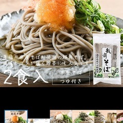 そば 越前そば 2食入り 半生 つゆ付き 福井 お土産の画像