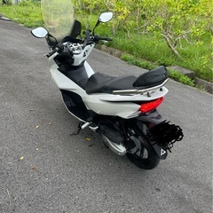 pcx56 白の画像
