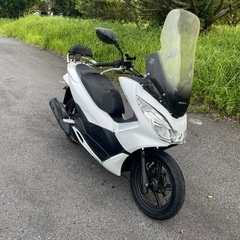 pcx56 白の画像
