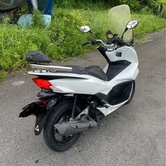 pcx56 白の画像