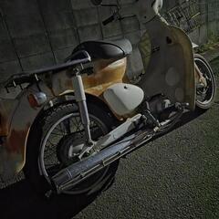 リトルカブの画像