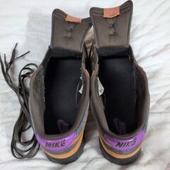 ナイキダンクロー（中古品）の画像