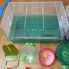 ハムスター　飼育セット　中古 中古ハムスター飼育セット (さちべえ) 六合のその他の中古
