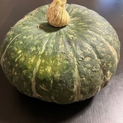 みやこかぼちゃ③ の画像