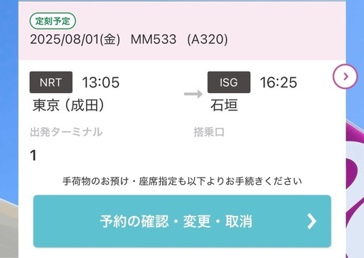 8/1 成田→石垣ピーチミニマム