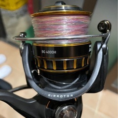SHIMANOスピニング S56-6ダイワリール16BGの画像