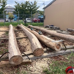 平均台　子供の遊具　売ります・作りますの画像