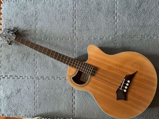 ワーウィック ロックベース エイリアン スタンダード –