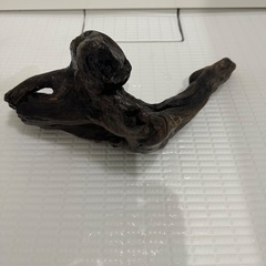 流木の画像