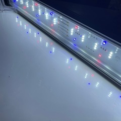  水槽用LEDライトとプログラムタイマーのセットの画像