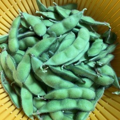 枝豆（湯上がり娘）100グラムの画像