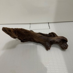 流木の画像
