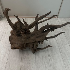 流木の画像