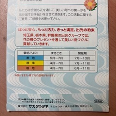 コスモスの種の画像
