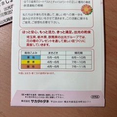 けいとうの種の画像