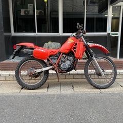 HONDA MTX125R JD05 ホンダ　オフロード　 　の画像