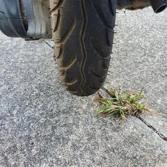 淡路市　ジョグ　アプリオ　JOG　SA11J　ワンオーナーの画像