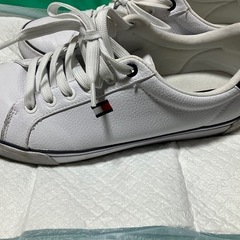 トミーフィルヒィガースニーカーの画像