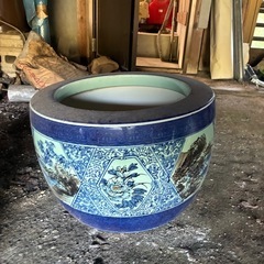 【庭】メダカ　鉢　かめの画像