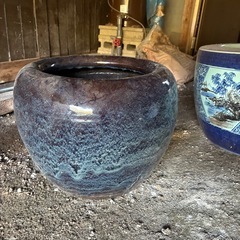 【庭】メダカ　鉢　かめの画像