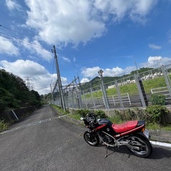 ホンダ VT250FEの画像