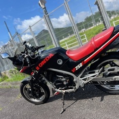ホンダ VT250FEの画像