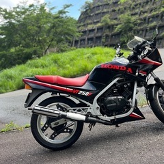 ホンダ VT250FEの画像