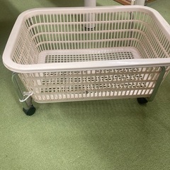 マッサージベットの画像