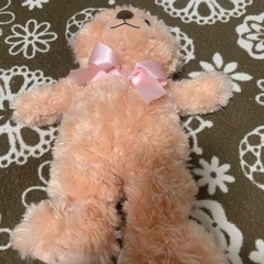 ハニーテディベアぬいぐるみの画像