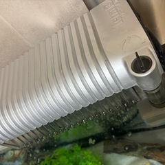 熱帯魚濾過器 TETRA  AT-75Wの画像