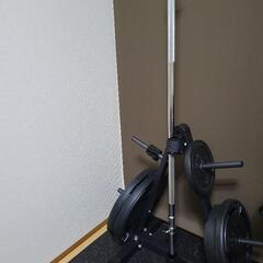 プレートラック ダンベル バーベル プレートシャフト 収納プレート穴径25mm以上 コンパクト収納 大型マシン

の画像