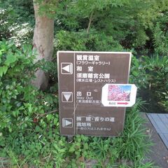自力整体と呼吸法とシンキングボールの画像