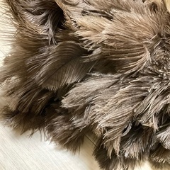 オーストリッチ 毛ばたき / ほこり取りの画像