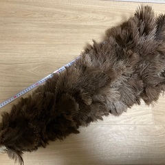 オーストリッチ 毛ばたき / ほこり取りの画像