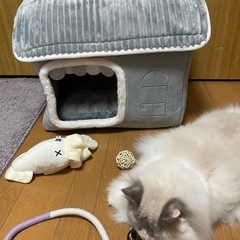 ペットハウス　猫　犬の画像