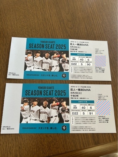 8月2日 巨人-横浜 DeNA スカイシートB チケットペア