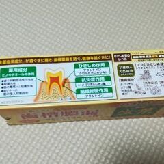 🦷新品未開封🦷半額以下🦷　生葉　100g　歯ぐきをキューッとひきしめる　歯槽膿漏の予防に　7種類の天然植物由来成分配合🦷の画像