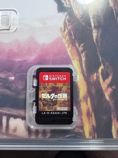 ニンテンドー スイッチ ライト