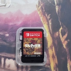 ニンテンドー スイッチ ライトの画像