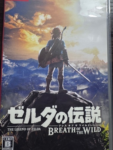 ニンテンドー スイッチ ライト