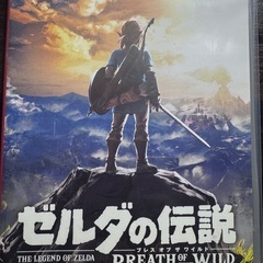 ニンテンドー スイッチ ライトの画像
