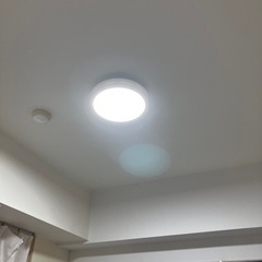 未使用シーリングライトの画像