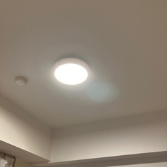 未使用シーリングライトの画像