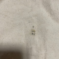THE NORTH FACE トートバッグ 100%オーガニックコットンの画像
